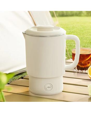 800ml Electric Kettle with Dual Power Control & Detachable Base