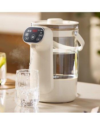 3L Instant Water Warmer Electric Kettle With 12 Temperature Settings
