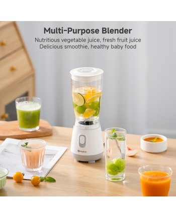 250W Multi Functional Juicer Blender And Food Processor